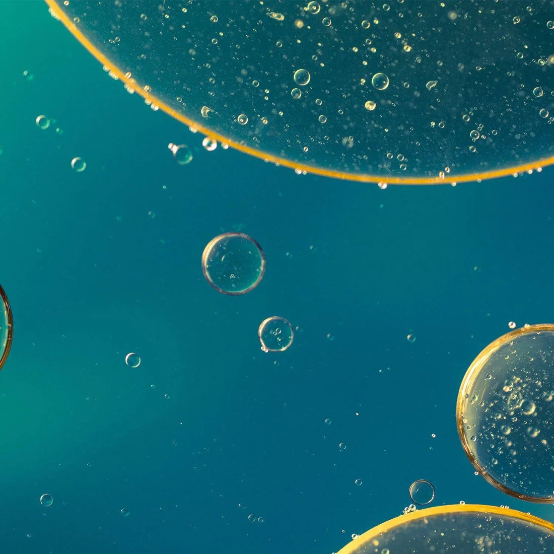 Cold-pressed fish oil – not necessarily better, according to a report from the Norwegian Food Safety Authority