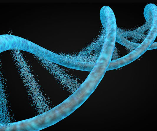 Selenium and Q10: The Key to Healthy Aging and Heart Health? April 24, 2025